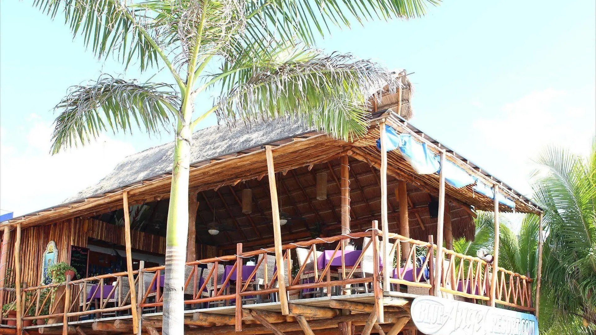 Blue Angel Resort Cozumel Hotel
